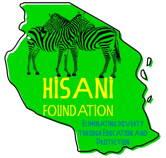 hisanifoundationtz.com